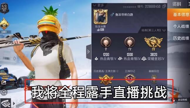 和平精英辅助【特种兵】